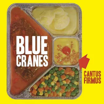 Cantus Firmus by Blue Cranes