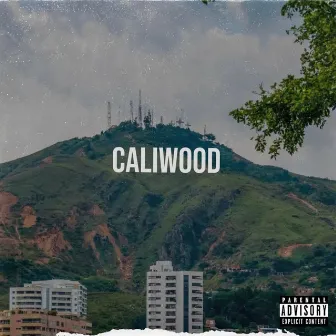 CALIWOOD by Rayzell