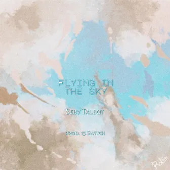 Flying In The Sky by Seby Talbot