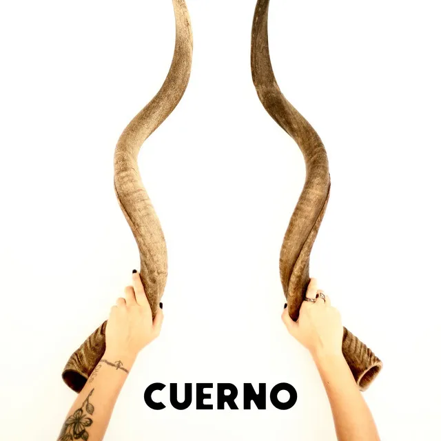 Cuerno