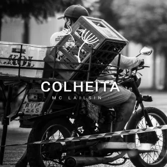 Colheita by Mc Lailsin