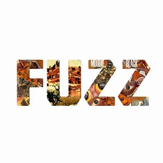 Fuzz by Moodie Black