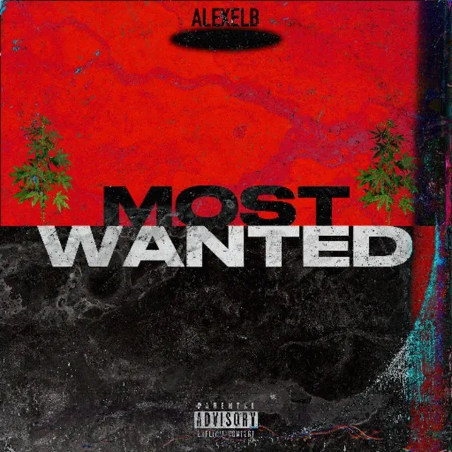 Most Wanted