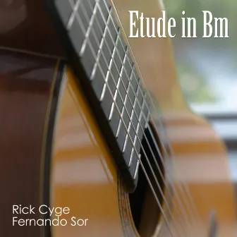 Etude in Bm - Opus 35, No. 22 by Rick Cyge