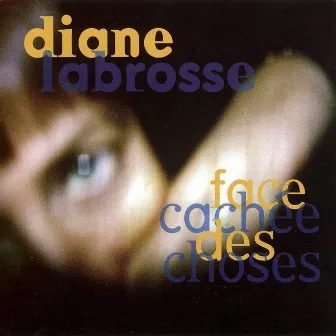 Face cachée des choses by Diane Labrosse