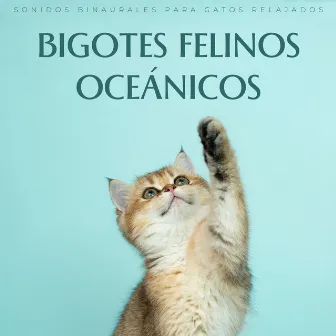 Bigotes Felinos Oceánicos: Sonidos Binaurales Para Gatos Relajados by Oceanógrafos