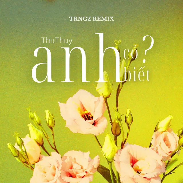 Anh Có Biết (Trngz Remix)