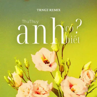 Anh Có Biết (Trngz Remix) by ThuThuy