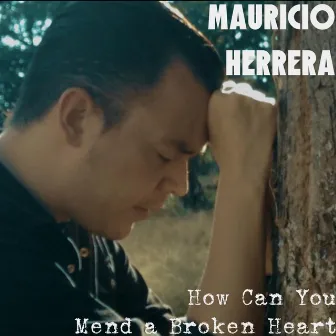 How Can You Mend a Broken Heart by Mauricio Herrera