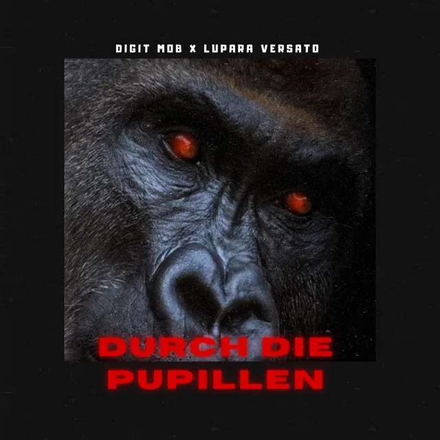 Durch die Pupillen