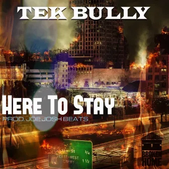 Here to Stay by Tek Bully