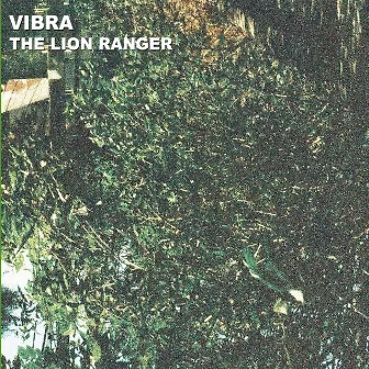 Vibra by The Lion Ranger