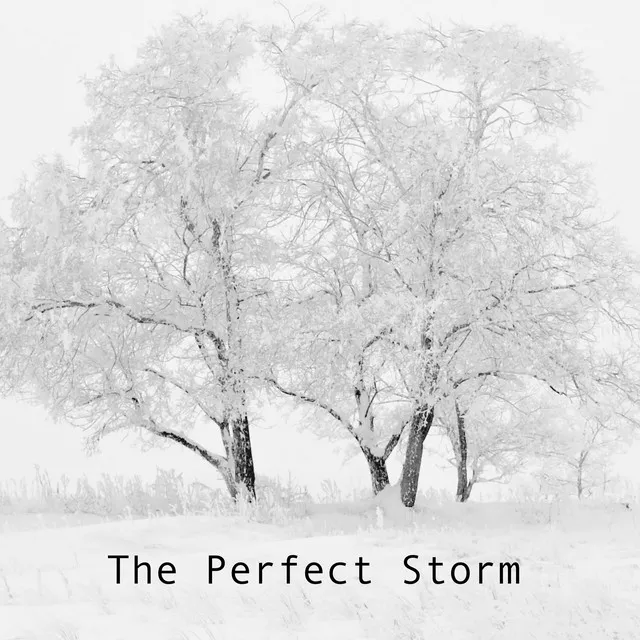 The Perfect Storm