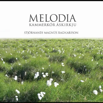 Melodia by Magnus Ragnarsson