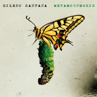 Metamorphosis by Gileno Santana