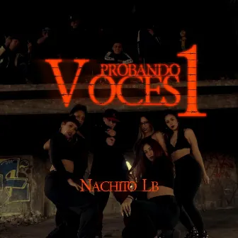 Probando Voces1 by Nachito Lb