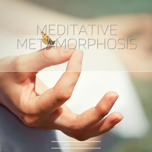 Meditative Metamorphosis