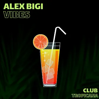 Vibes by Alex Bigi