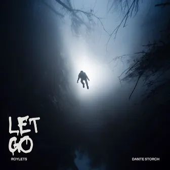 Let Go by Dante Storch