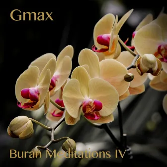 Buran Meditations IV by Gmax