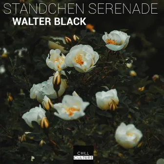 Standchen Serenade by Walter Black