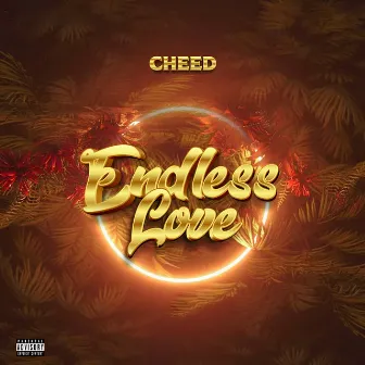 Endless Love by Cheed