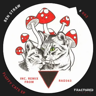 Fluffy Cats EP by Ben Straw