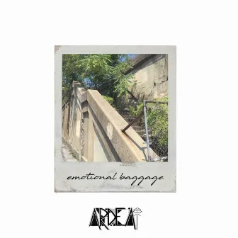 Emotional Baggage by Ardea