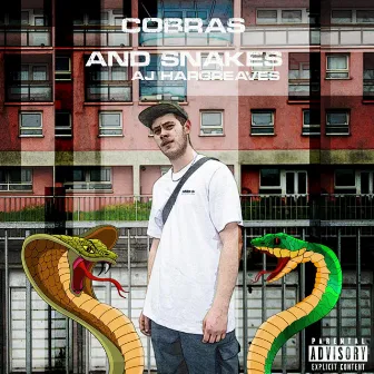 Cobras and Snakes by AJ Hargreaves