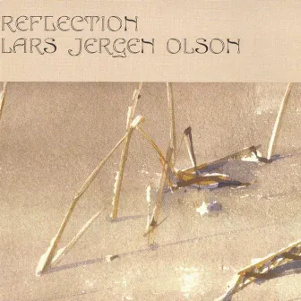 Reflection by Lars Jergen Olson