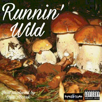 Runnin' Wild by Tex T