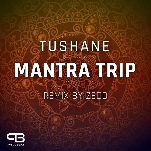 Mantra Trip - ZEDO Remix