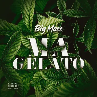 Ma gelato by Big Moss