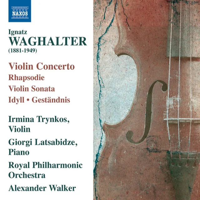 Violin Concerto in A Major, Op. 15: I. Allegro moderato