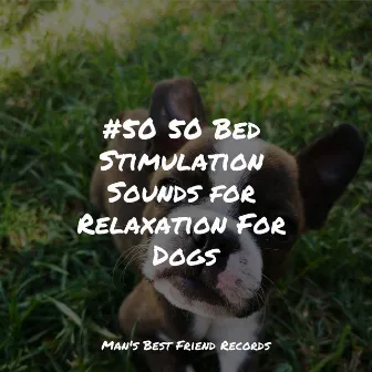 #50 50 Bed Stimulation Sounds for Relaxation For Dogs by Deep Sleep