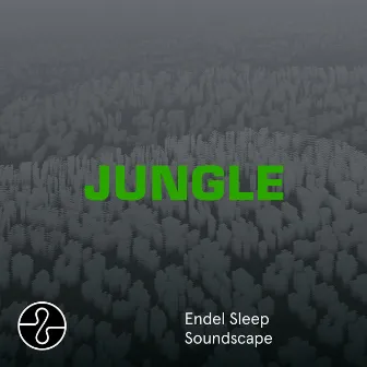 JUNGLE (Sleep Soundscape) by Endel