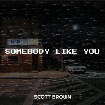 Somebody Like You by Scott Brown