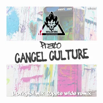 Cancel Culture (Pete Wilde Remix) by Pete Wilde