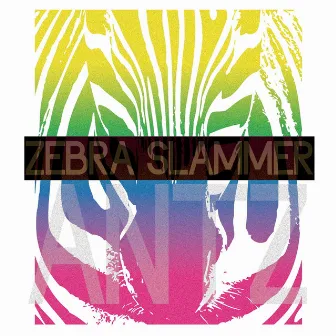 Zebra Slammer by Antz