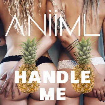 HANDLE ME by ANIIML