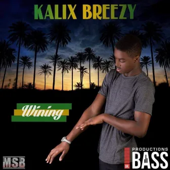 Wining by Kalix Breezy