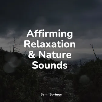 Affirming Relaxation & Nature Sounds by Soothing Music Academy