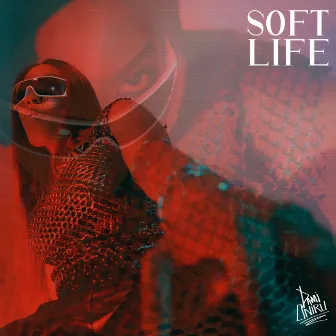 Soft Life by Dami Oniru