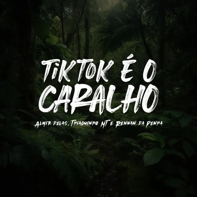 TikTok é o Caralho