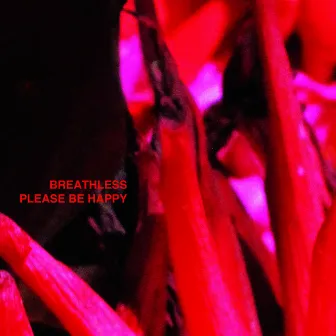 Please Be Happy by Breathless