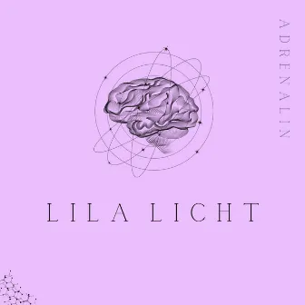 Lila Licht by Office