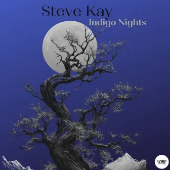 Indigo Nights by Steve Kay