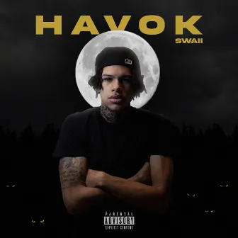 Havok by swaii