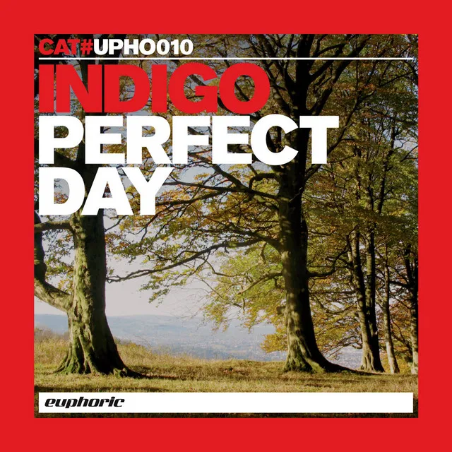 Perfect Day (Dataluxe Mix)