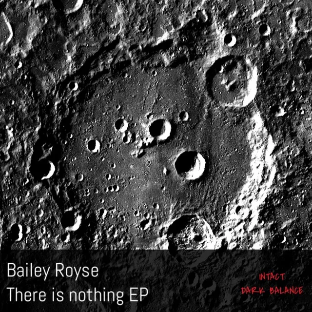 There is nothing - Vox Mix